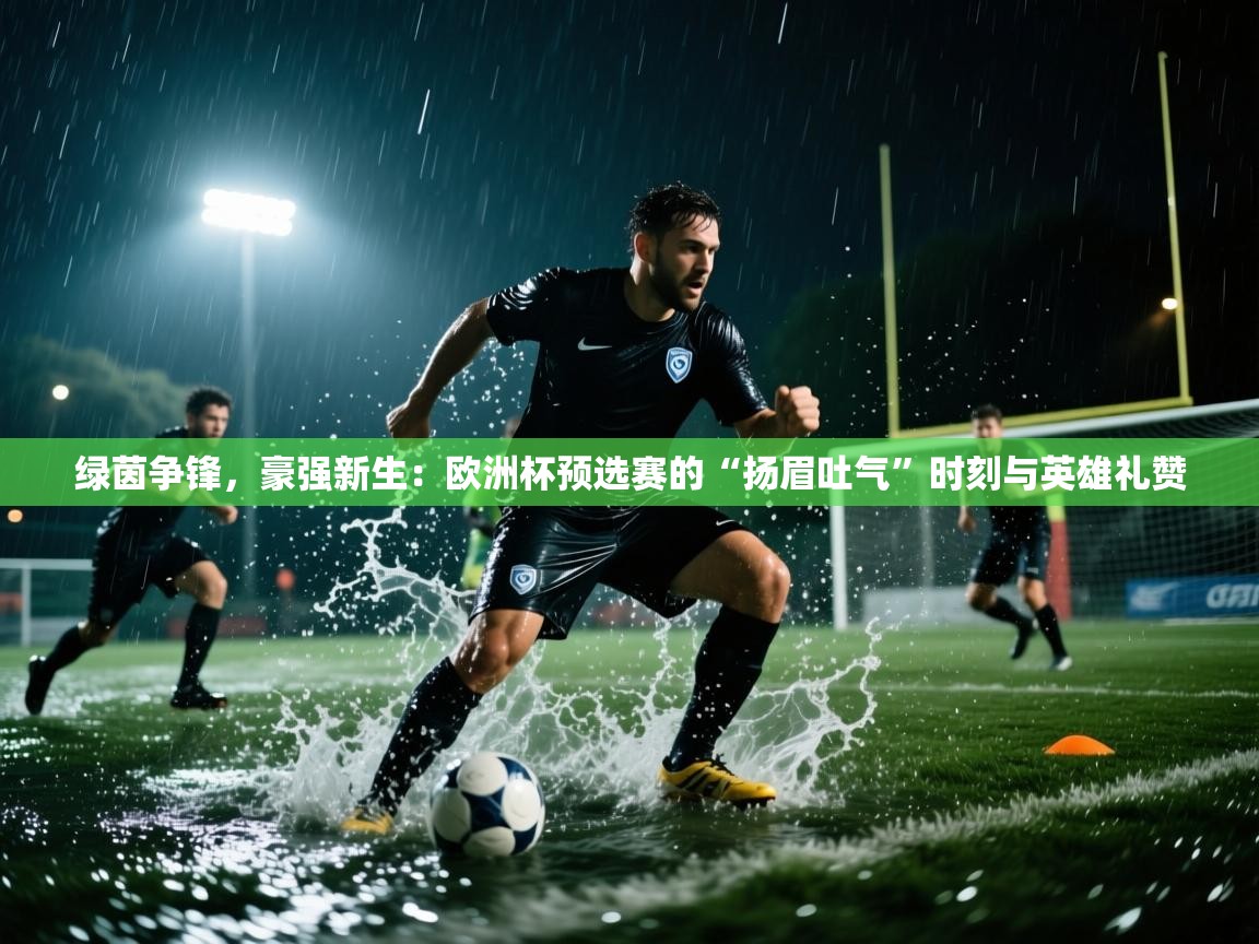 绿茵争锋，豪强新生：欧洲杯预选赛的“扬眉吐气”时刻与英雄礼赞