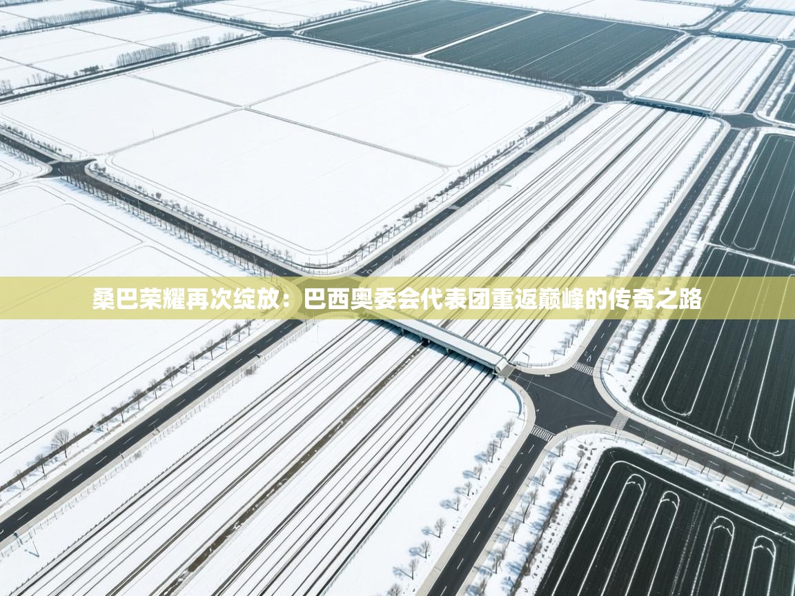 桑巴荣耀再次绽放：巴西奥委会代表团重返巅峰的传奇之路  第1张