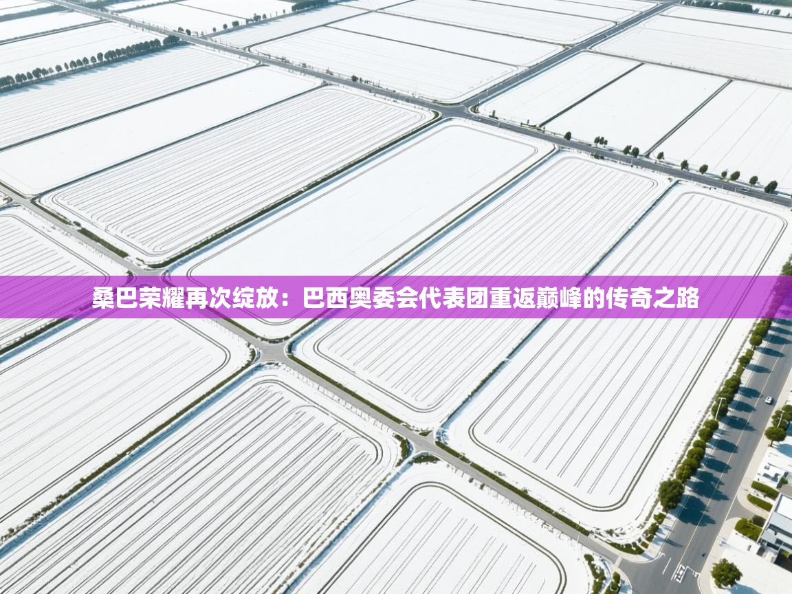 桑巴荣耀再次绽放：巴西奥委会代表团重返巅峰的传奇之路  第2张