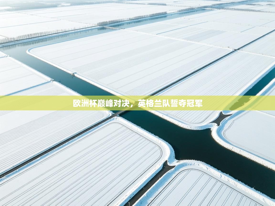 欧洲杯巅峰对决,英格兰队誓夺冠军 第1张