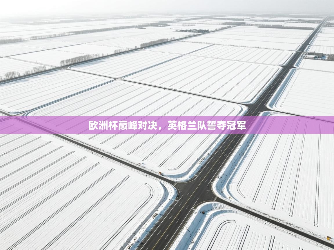 欧洲杯巅峰对决,英格兰队誓夺冠军 第2张