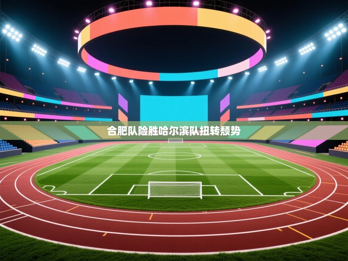 合肥队险胜哈尔滨队扭转颓势  第2张