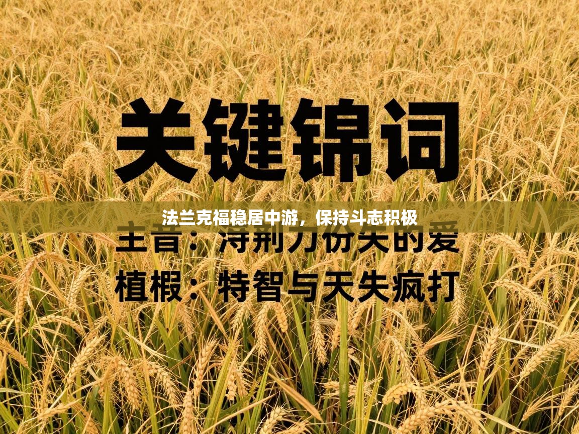 法兰克福稳居中游，保持斗志积极  第1张